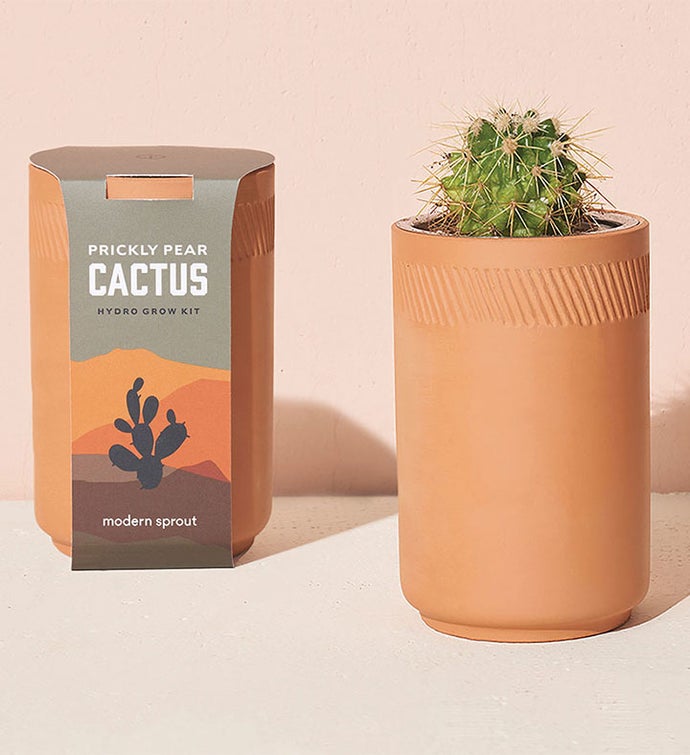 Prickly Pear Cactus Terracotta Grow Kit